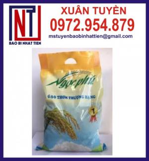 In túi đựng gạo 5kg tại TP.HCM