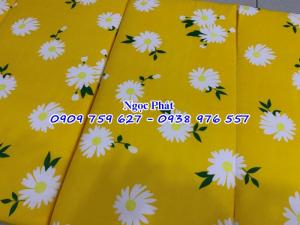 Nệm văn phòng - Nệm nằm văn phòng - Ngọc Phát