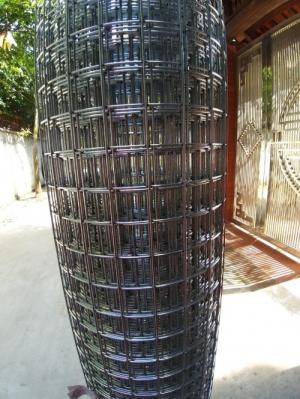 Nơi Mua Lưới thép hàn D3 ô 50x50 tại Cần Thơ