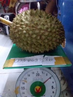 Sầu riêng rụng sầu riêng hạt truyền thống Vườn Nhà Đậu Dậu Lâm Đồng -093 8691586