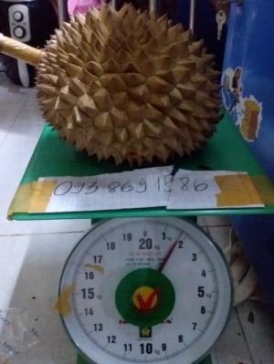 Sầu riêng rụng sầu riêng hạt truyền thống Vườn Nhà Đậu Dậu Lâm Đồng -093 8691586