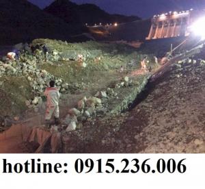 Chuyên cung cấp Rọ đá mạ kẽm, Rồng đá