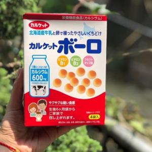 Bánh Men Bi Vị Sữa Ăn Dặm Calket Boro Nội Địa Nhật - MSN181452
