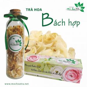 Trà hoa bách hợp trắng - Mộc Hoa Trà