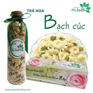 Trà hoa bạch cúc - Mộc Hoa Trà