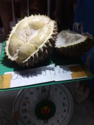 mua Sầu riêng hạt truyền thống rụng chín cây ăn ngay TPHCM trái 2-3kg gọi 093 869 1586