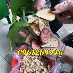 Máy thái lát thuốc nam, thái lát và thái khúc Savi 2CN