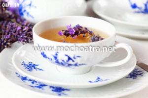 Trà hoa Lavender/Oải hương