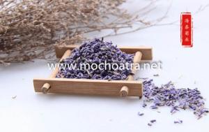 Trà hoa Lavender/Oải hương