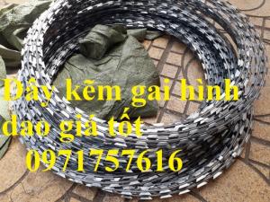 Giá dây thép gai hình dao ,kẽm gai hình dao
