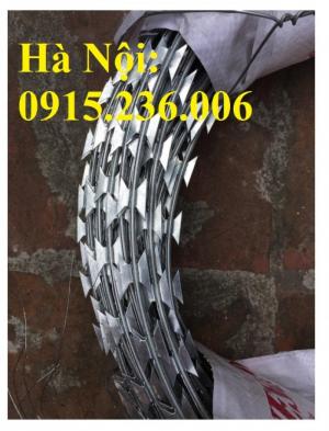 Mua Dây Thép Gai Hình Dao Ở Đâu Giá Tốt Tại Hà Nội