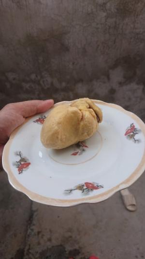 Kê bảo