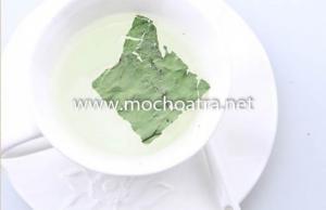 Trà liên diệp/Lá sen- Mộc Hoa Trà