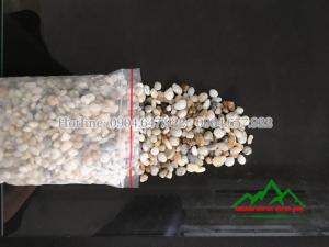 Địa chỉ uy tín cung cấp Sỏi ba màu chất lượng cao