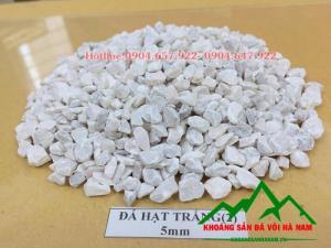 Chuyên cung cấp Đá hạt sản xuất gạch Terrazzo số lượng lớn