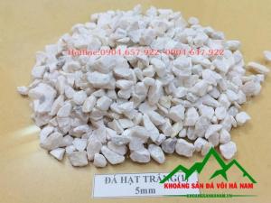 Chuyên cung cấp Đá hạt sản xuất gạch Terrazzo số lượng lớn