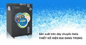 TỦ ĐÔNG MINI HÒA PHÁT 107 LÍT HCF-106S1ĐSH ĐỒNG R600A MÀU ĐEN