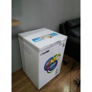 TỦ ĐÔNG MINI HÒA PHÁT 107 LÍT HCF-106S1Đ ĐỒNG R600A