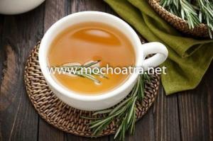 Trà Hương thảo/Rosemary - Mộc Hoa Trà
