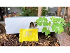 Kẹo Sâm A7 Chuẩn Mỹ 100%