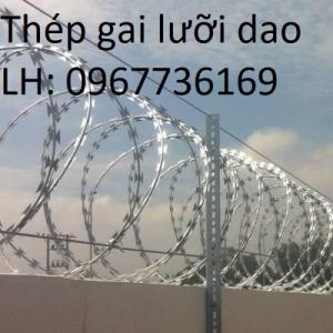 Hàng rào thép gai - Thép gai hình dao