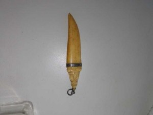 Nanh heo rừng hàng thiệt