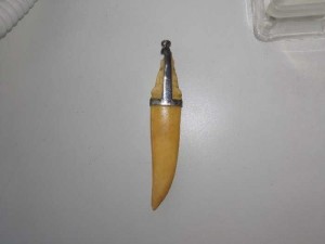 Nanh heo rừng hàng thiệt