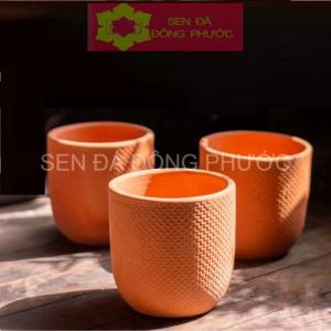 CHẬU ĐẤT NUNG HÌNH DA RẮN DẠNG TRỨNGTRỒNG SEN ĐÁ-XƯƠNG RỒNG NÂU