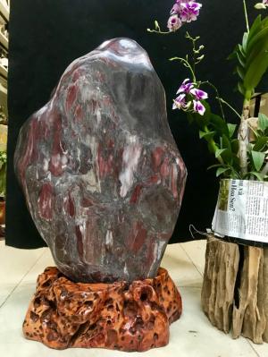 Đá cảnh tự nhiên đỏ vân Serpentine KT : C68x N38 cm (MS : 203)