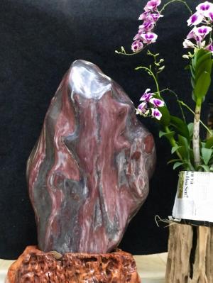 Đá cảnh tự nhiên đỏ vân Serpentine KT : C68x N38 cm (MS : 203)