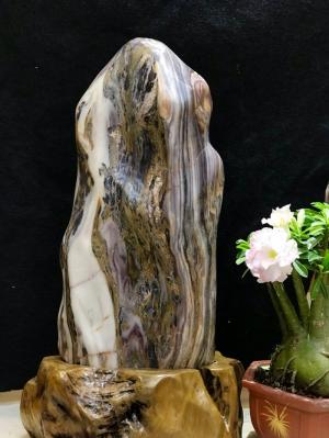 Đá cảnh tự nhiên nguyên khối vân thổ cẩm Serpentine KT : C71 x N30 (Ms: 213)