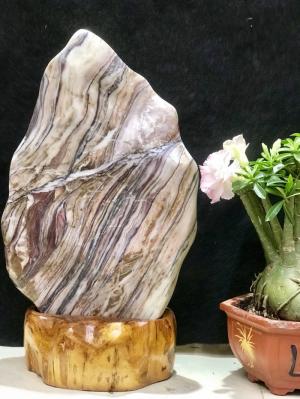 Đá cảnh tự nhiên nguyên khối vân xếp tầng Serpentine KT : C59 x N34 (Ms: 209)