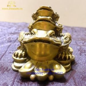 Cóc Ngậm Tiền Đem Tài Lộc Đến