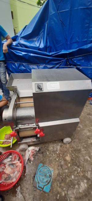 Máy tách xương cá mối cá nhồng tự động