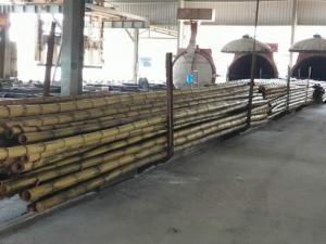 Bán cây tre chống mối, cây tre chống nước mặn, quy trình sử lý tre trúc