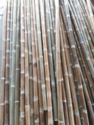Bán cây tre chống mối, cây tre chống nước mặn, quy trình sử lý tre trúc