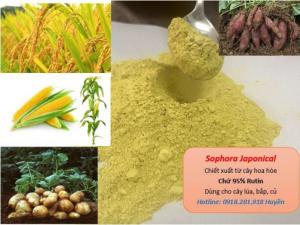 Saphora Japonical - Phân bón chuyên dùng cho lúa, bắp, khoai,...