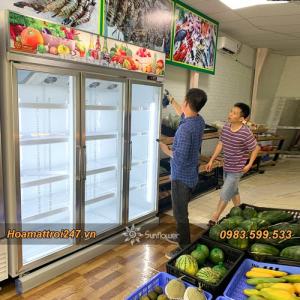 Tủ mát 3 cánh Sunflower trưng bày hoa quả, thực phẩm (mẫu mới nhất 2020)
