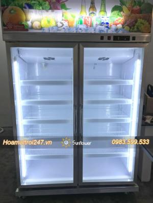 Tủ mát 2 cánh LCR-980F