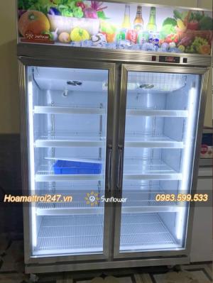 Tủ mát 2 cánh LCR-980F