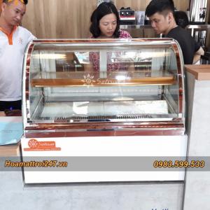 Tủ trưng bay bánh kem mini kính cong
