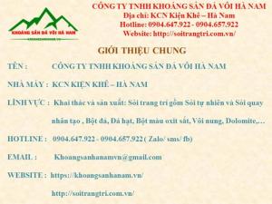 Công ty chuyên cung cấp Đá cuội đen trang trí sân vườn