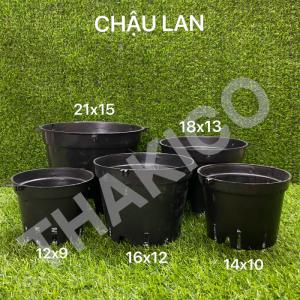 Công ty THAKICO - Sản xuất các loại Chậu Kiểng các loại