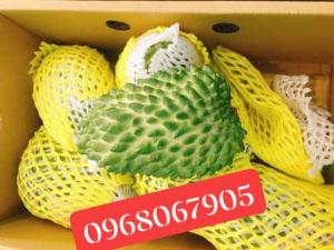 Na Sầu Riêng, Na Vị Sầu Riêng Nhập Khẩu Trực Tiếp Từ Thái Lan, Có Giấy Tờ Đảm