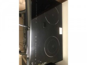 Bếp từ spm 928 iplus made in mailaisia