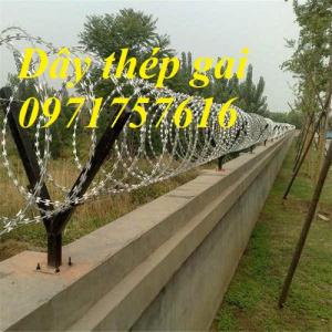 Dây thép gai cung cấp giá sỉ