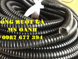 Ống ruột gà lõi thép D13