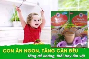 Bột ngũ cốc tăng cân Hoa Bạch Hải Đường hoàn toàn thiên nhiên