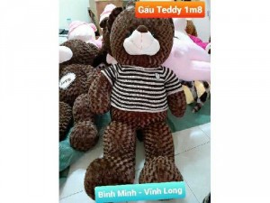 Gấu Teddy 1m8 giá rẻ