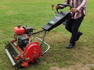 Máy cắt cỏ sân golf đẩy tay chạy xăng